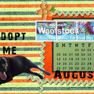 gs-july-desktop-challenge