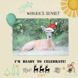 I'm Ready!