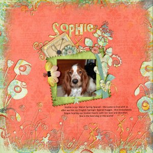 Sophie