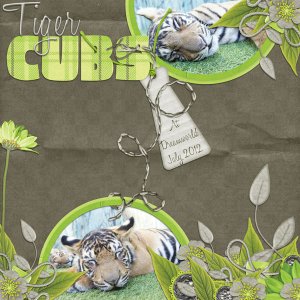 Tiger Cubs