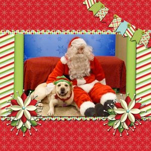GS-xmas-july-mini