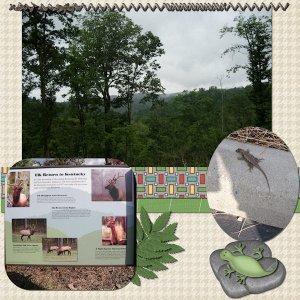 nem_layout_2