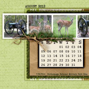 August 2012 Desktop