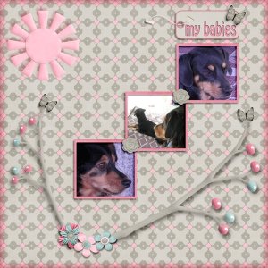 DailyDownload_Challenge