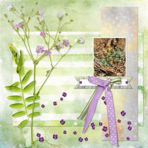 Hardy plant