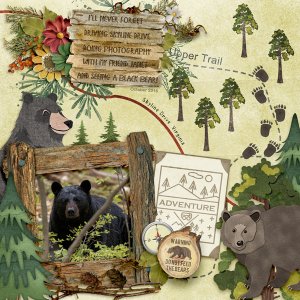 A BEARy Great Day!