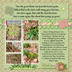 3/2023 Pinterest Challenge - Spring