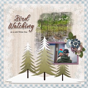 Bird Watching