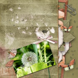 Whispering Winds