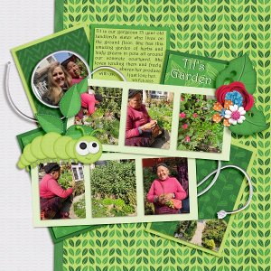 Til's Garden