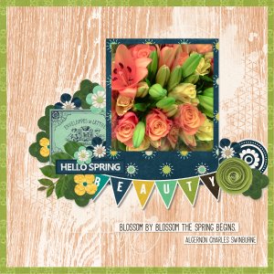 beautiful_spring_bouquet