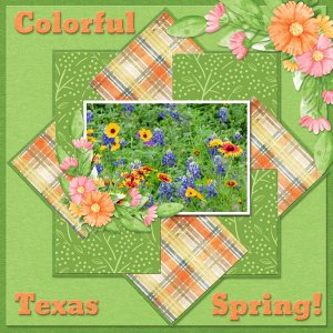 Colorful Texas Spring!