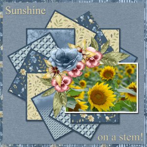 Sunshine on a stem!