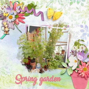 Spring-garden1