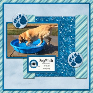 Dog Wash - Simple
