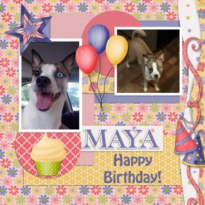 Happy Birthday Maya