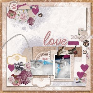 unconditional_love4