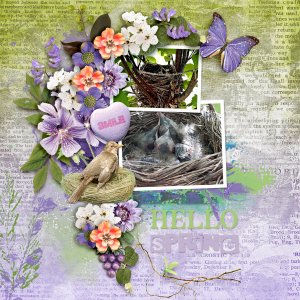 Hello-spring25