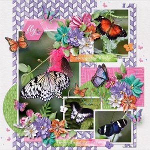 Beautyflies