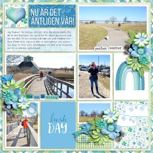 A perfect day