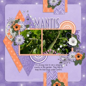 Mantis