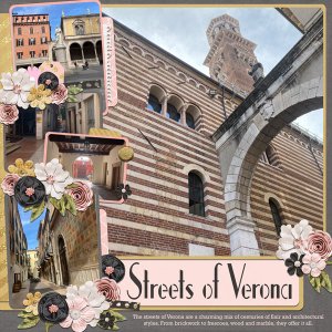 Streets of Verona