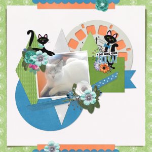 Cool_cat2
