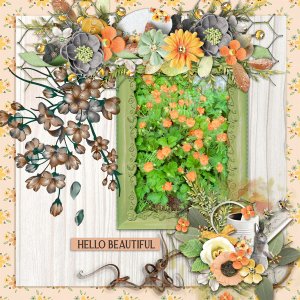 Hello-beautiful2
