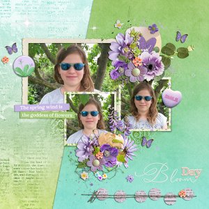 bloom day