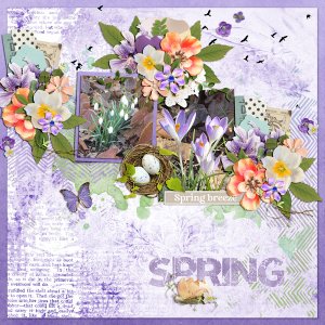 spring breeze