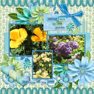 Spring Flowers