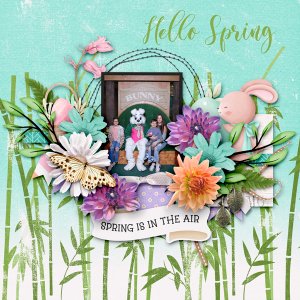 Hello Spring!