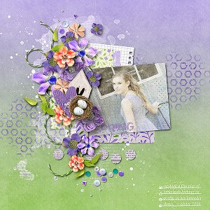 Spring beauty