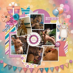 Happy Birthday Sally