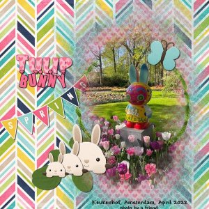 Tulip Bunny