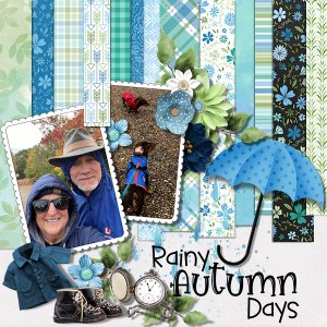 Rainy Autumn Days