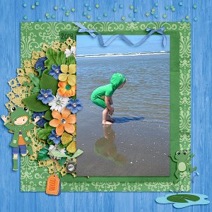 Froggy on the shore