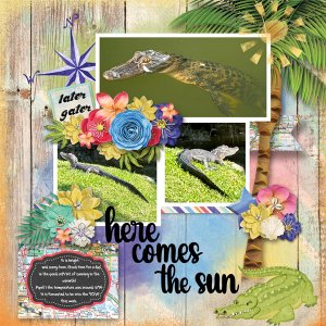 Here Comes the Sun