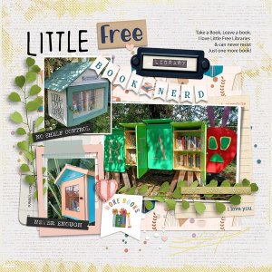 Little Free Libraries
