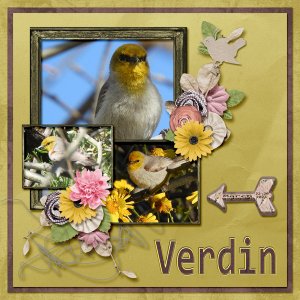 verdinsmall