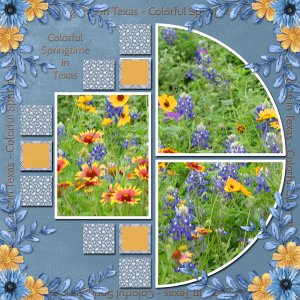 Colorful Springtime in Texas