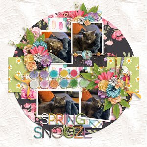 Spring Snooze