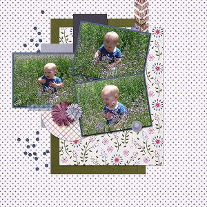 Wildflowers