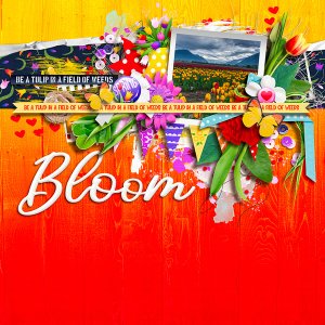Bloom