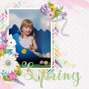 2003 Spring