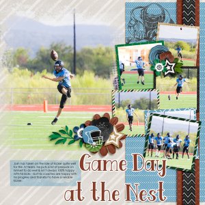 Game Day at the Nest