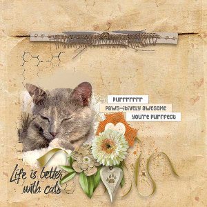 Life Is Better With A Cat