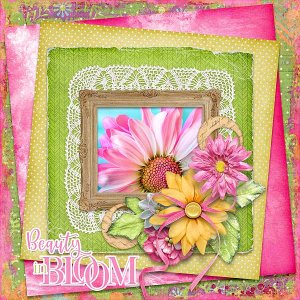 Beauty In Bloom