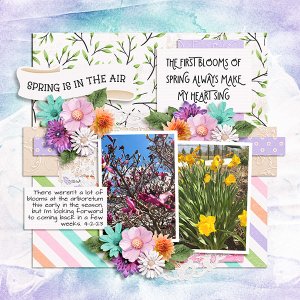 Spring Blooms