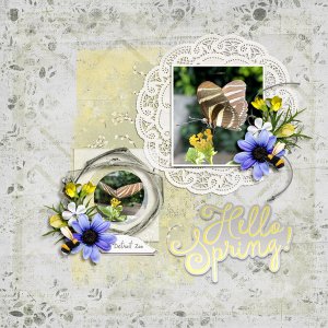 spring
